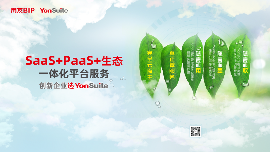 SaaS+PaaS+生态