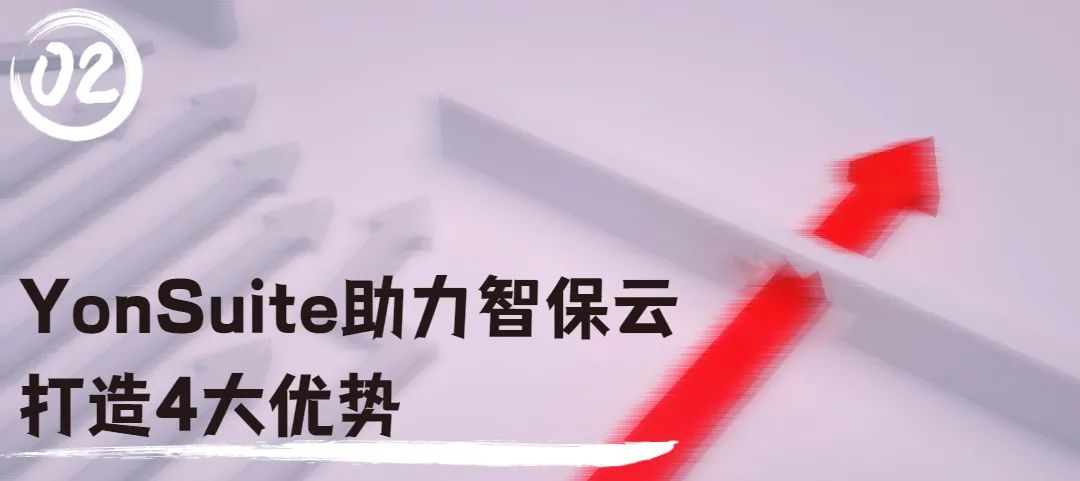 YonSuite