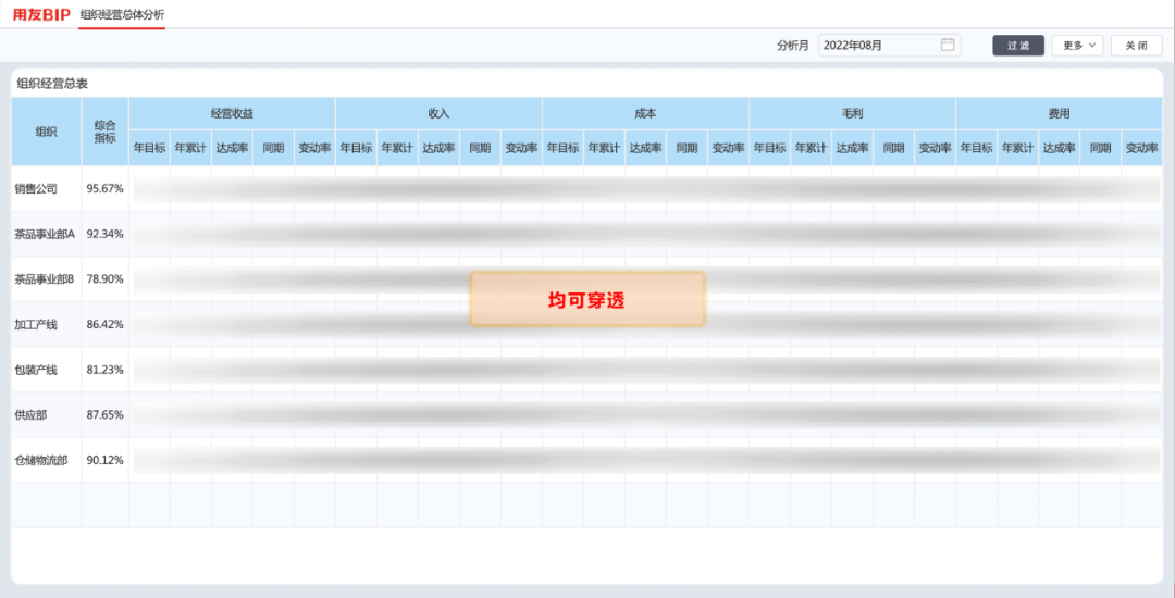 组织经营总体分析